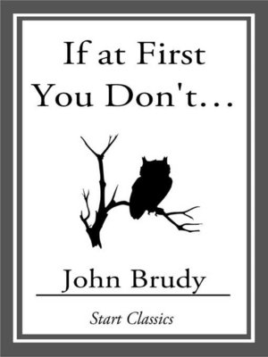 cover image of If at First You Don't...